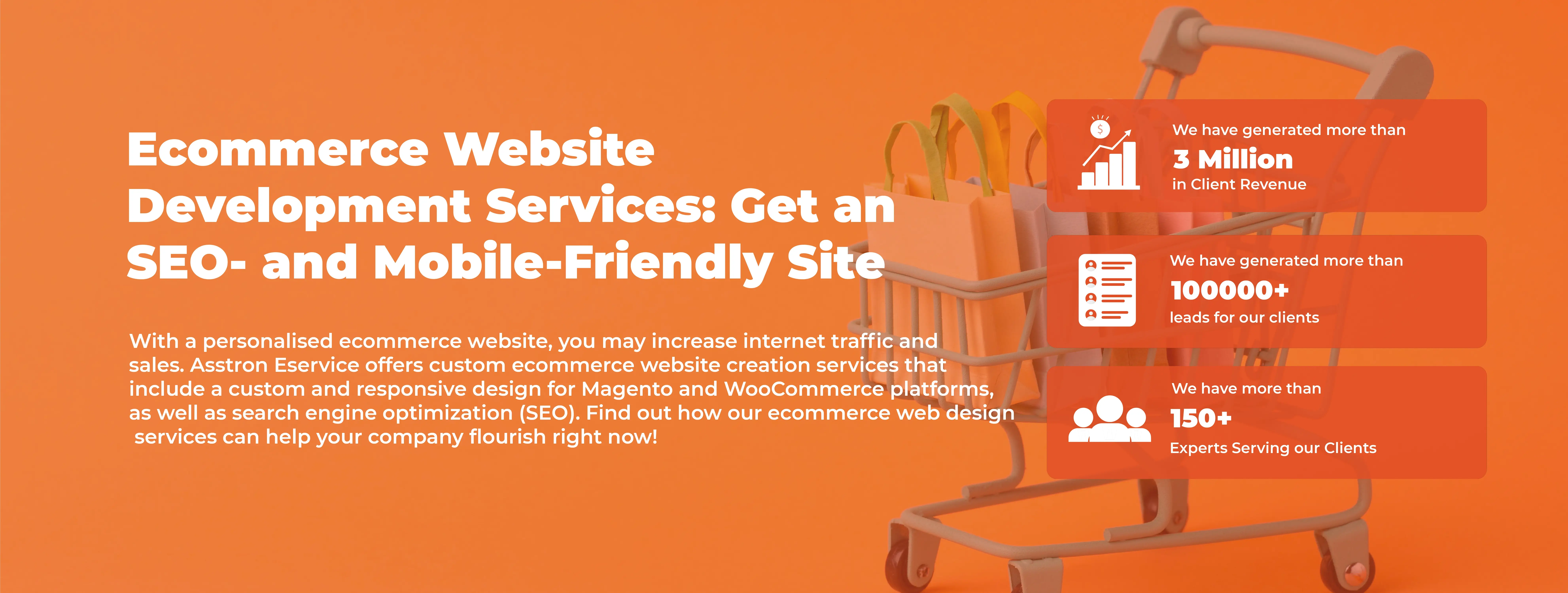 Ecommerce Service Agency